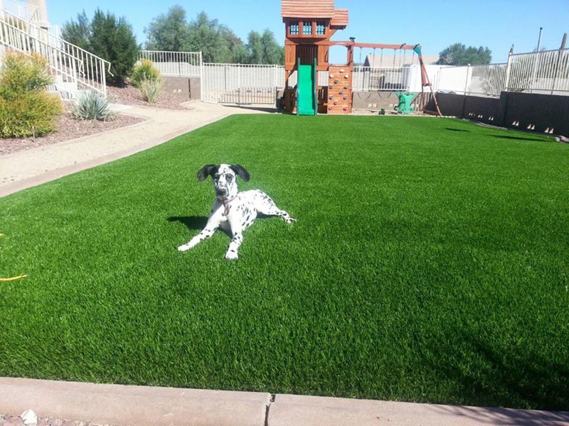Is Your Artificial Grass Giving Off a Dog Pee Smell?