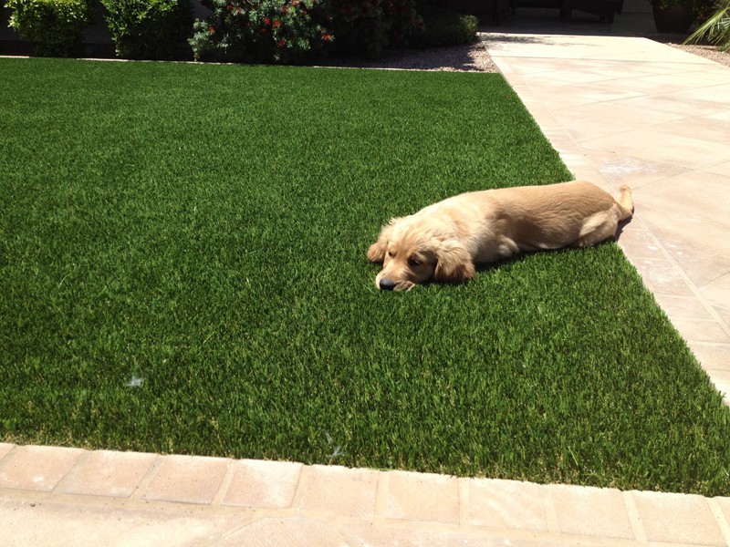 Transform Your Backyard with These 3 Creative Uses for Artificial Turf